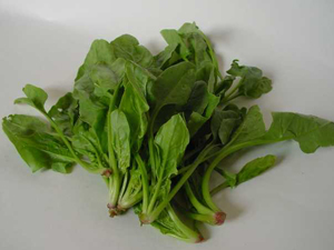 菠菜的营养价值 菠菜含有丰富的植物粗纤维具有防治痔疮作用