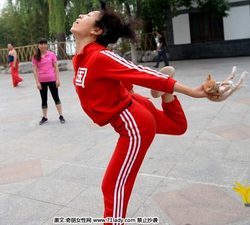 晨练大妈顶猫练功 手抓喵星人飞身踢毽子