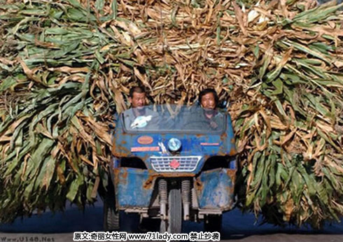 超载固然是不好的,但有的人却能把超载做的出神入化,让人惊叹的同时不由得为对方捏了一把汗。