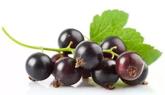 ղأ10ֺɫʳ