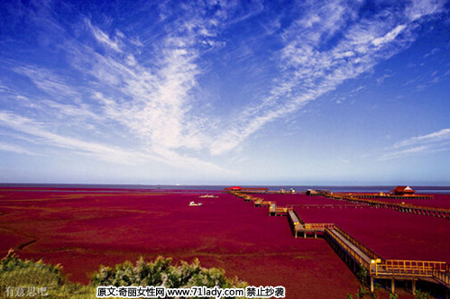 2. 红海滩:位于辽宁省盘锦市大洼县赵圈河乡境内的红海滩风景区,以红海滩为特色,以湿地资源为依托,以芦苇荡为背景,再加上碧波浩渺的苇海,数以万计的水鸟和一望无际的浅海滩涂,成为一处自然环境与人文景观完美结合的纯绿色生态旅游系统,被喻为拥有红色春天的自然景观。