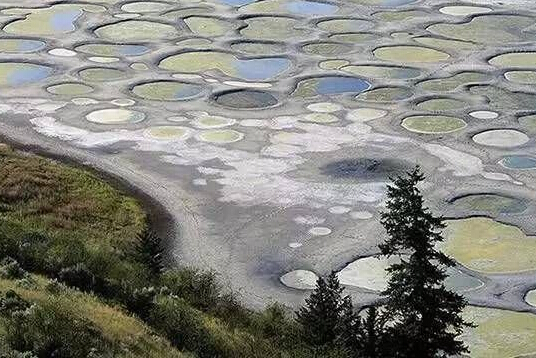 斑点湖加拿大,一年内湖水颜色会不断变化,所以无论你什么时候去都能看到漂亮的色斑。当然也只有在6月到9月中旬时由于湖水的蒸发才露出湖底的矿物质,从而形成诸多的圆圈,斑点湖也由此而得名。