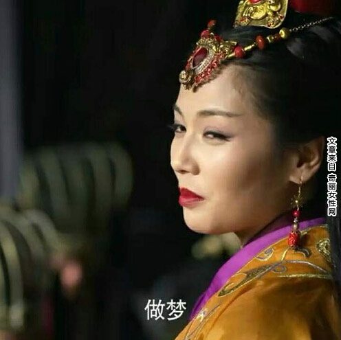 刘涛表情包 《芈月传》刘涛表情包走红
