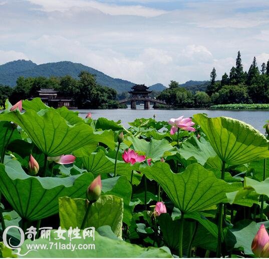 西湖十景一日游路线 让你不错过每一个景点感