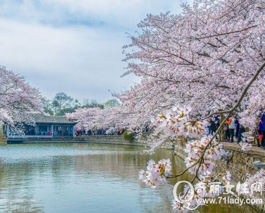 鼋头渚旅游路线 鼋头渚气势雄伟魅力非凡令人