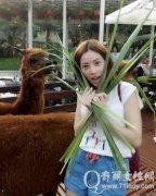 컳̤˷ַɸ 컳ڸϽ