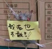 ǰһڹ ͵ЩԵĹ꣬ѹ