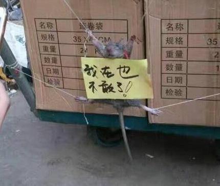 ǰһڹ