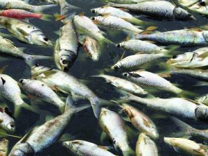 6ȱ ȴ̰