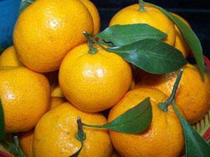 吃20斤橘险丧命 不注意这点原来吃水果都有风险