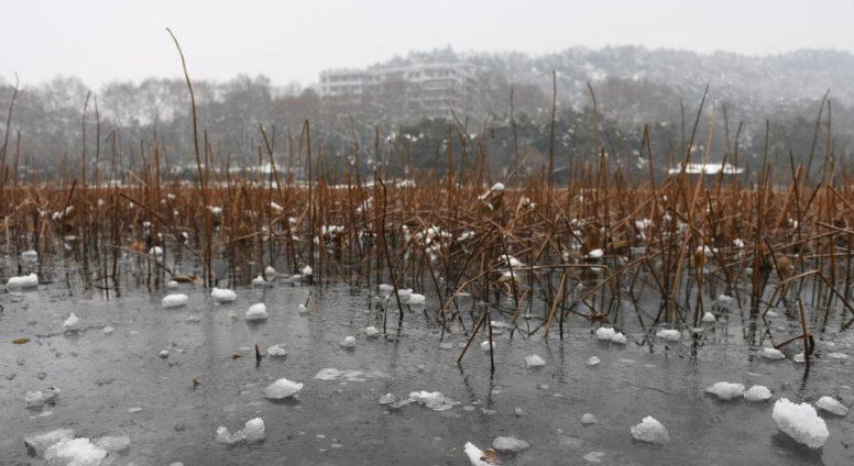 西湖部分水域结冰