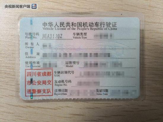 央视新闻客户端图