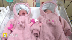 猪年或成生育高峰年？上海知名产科医院“金猪宝宝”上升两成，仅