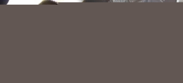 刘德华3岁女儿近照首曝光 乖萌继承爸妈基因 刘德华3岁女儿近照首曝光 乖萌继承爸妈基因