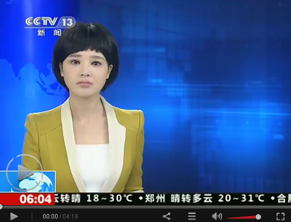 陆川承认与胡蝶领证 不娶秦岚与央视主播喜结连理 陆川承认与胡蝶领证 不娶秦岚与央视主播喜结连理